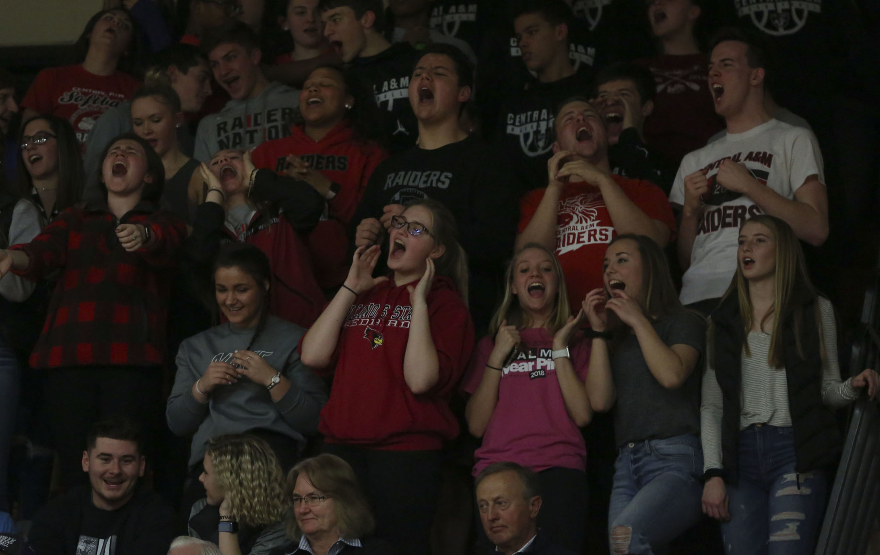 Central A&M Shelbyville 16 2.08.19.JPG